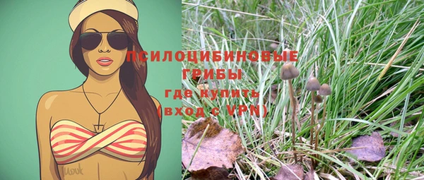 дурь Белокуриха