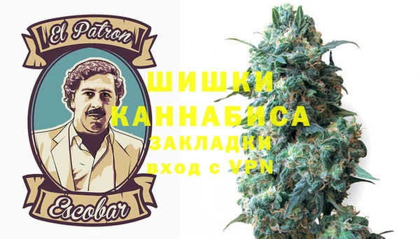 дурь Белокуриха